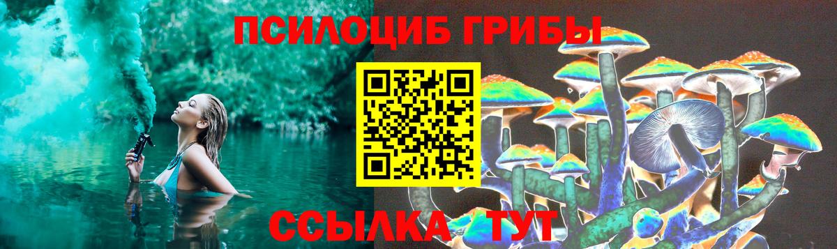 Псилоцибиновые грибы Magic Shrooms  Галлюциногенные грибы Psilocybe  Вход с VPN  Петрозаводск 